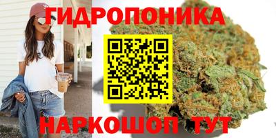герыч Новодвинск