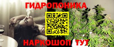 гашик Новокубанск