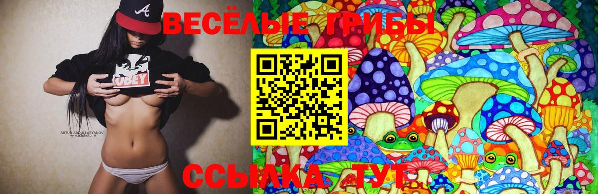 Северобайкальск  Галлюциногенные грибы Cubensis  Вход с VPN  Псилоцибиновые грибы MAGIC MUSHROOMS 
